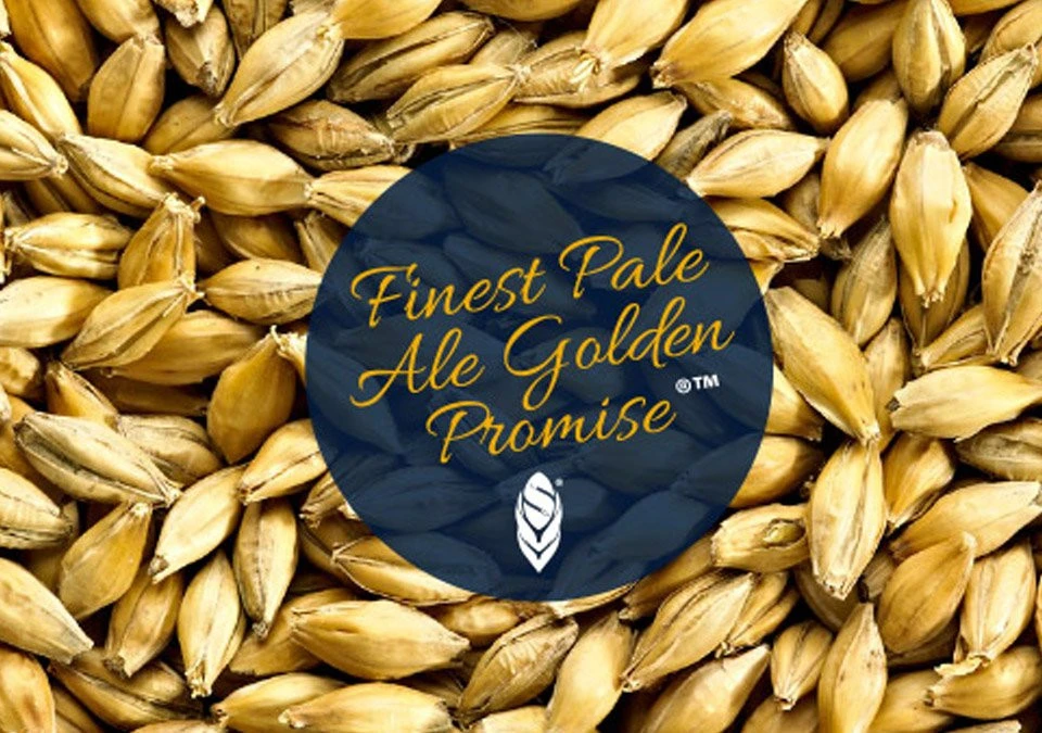 Simpsons Golden Promise LOW COLOUR Pale Ale Malt 25kg HEL